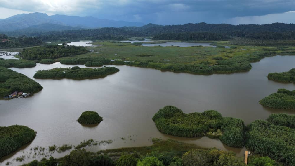 5 Ways Communities in Melai are Affected by Deforestation in Tasik Chini 4